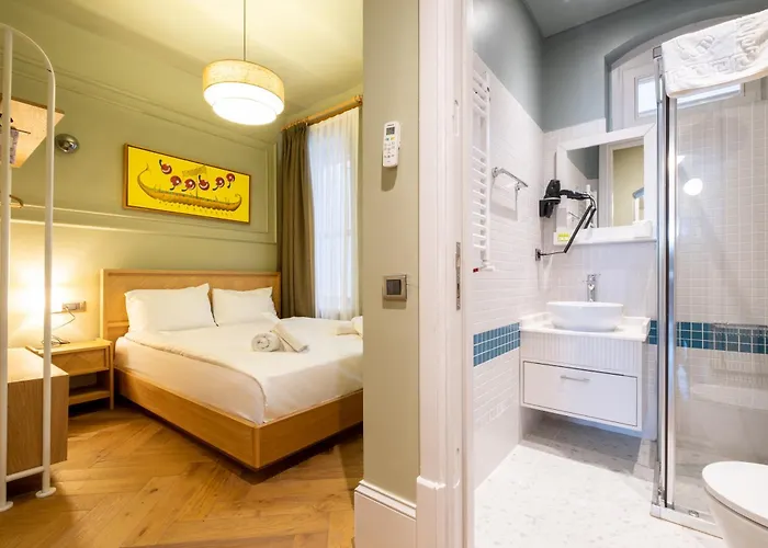 Mayer Istanbulská provincie